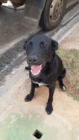 LUNA