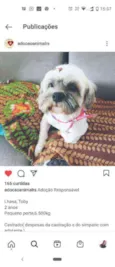 Dengoso