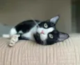 Joao
