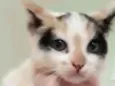 Ritinha