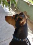 RUBI