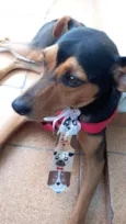 RUBI