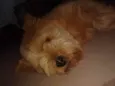 Meg