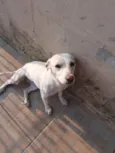 Nina