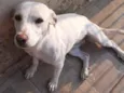 Nina