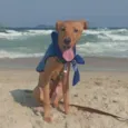 Erik