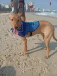 Erik