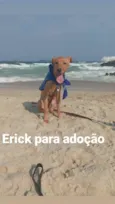 Erik