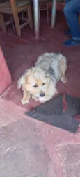 Maradona
