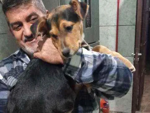 Cachorro ra a Indefinida  idade 2 a 6 meses nome Pretto