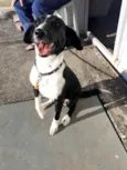 Maggie 