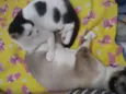 Princesa e linda 