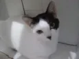 Princesa e linda 