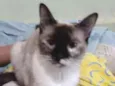 Meg