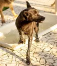 KURÔ