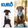 KURÔ