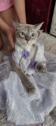Kiara