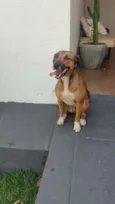 Desconhecido