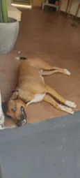 Desconhecido