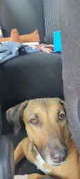 Desconhecido
