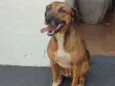 Desconhecido