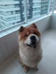 Igor