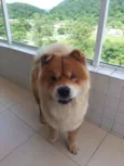 Igor