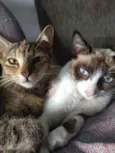 Leia e Lara 