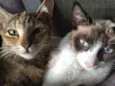 Leia e Lara 