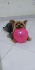 Rafa