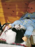 Gatinho filhote