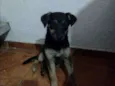 Bolinha