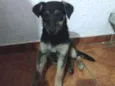 Bolinha