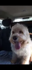 George