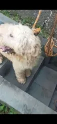 George