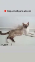 Lady e Princesa