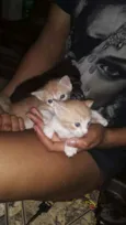 Mocinhas