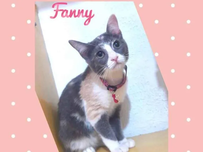 Fanny