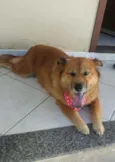 Paty