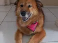 Paty