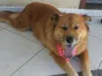 Paty