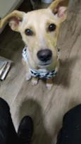 Izzy