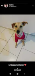Izzy
