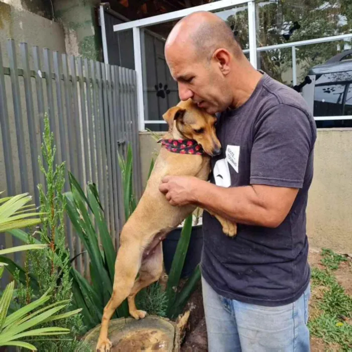 Cachorro ra a srd idade 1 ano nome PEQUI