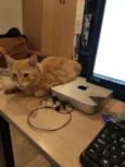 Stanley