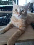 Stanley