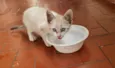 Bebê 