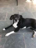 Lili