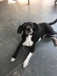 Lili