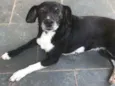 Lili